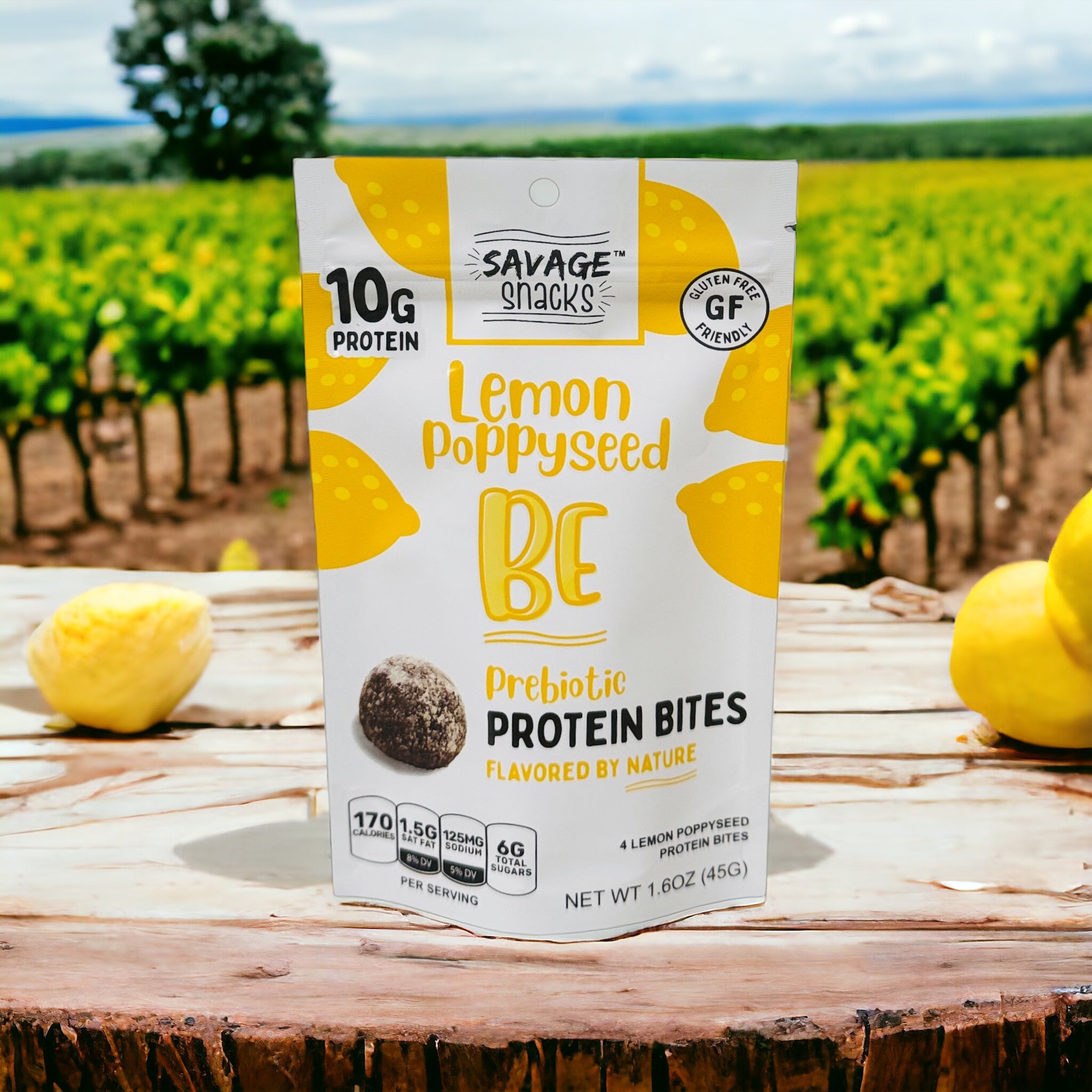 Prebiotic protein Bites